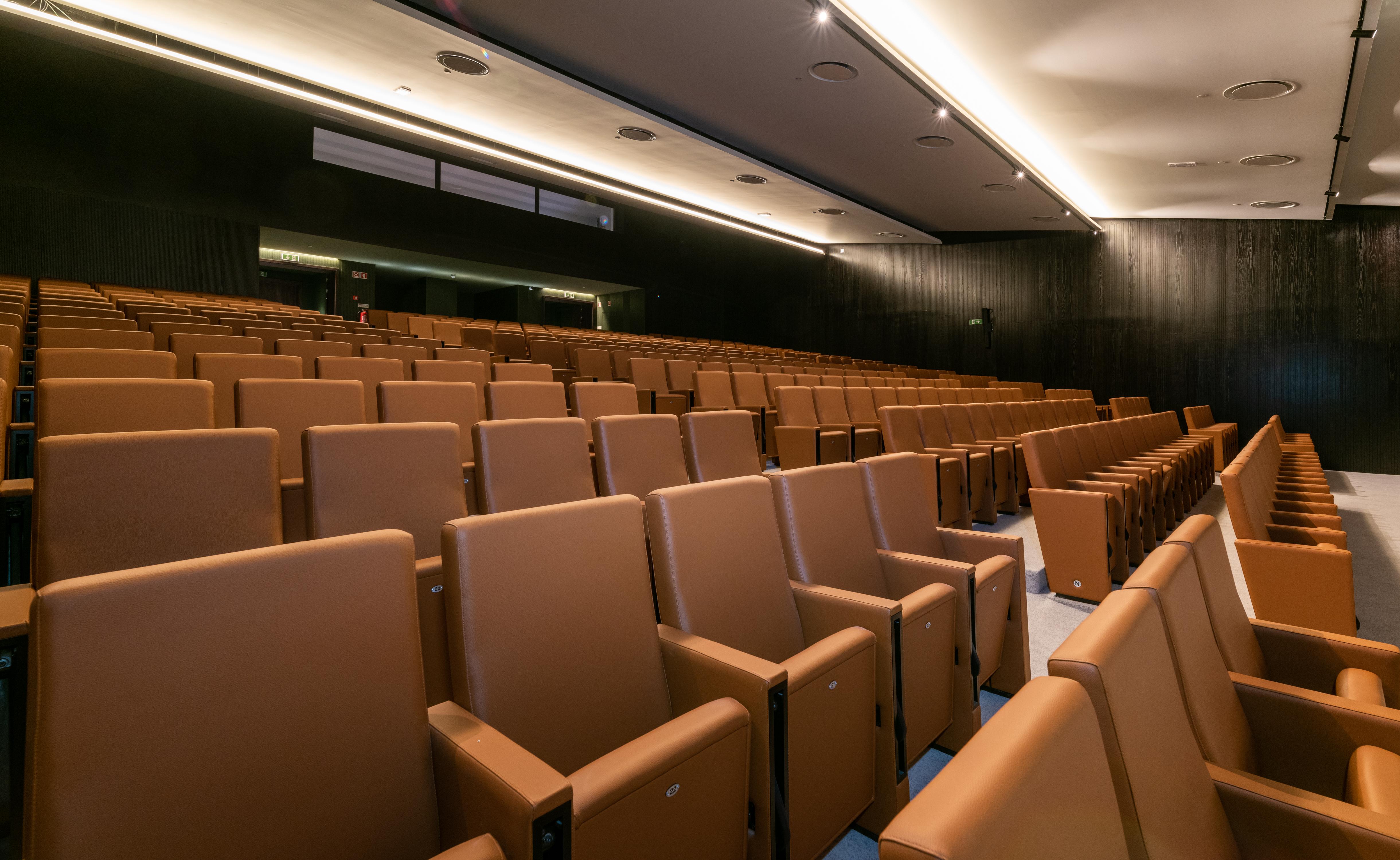 فندق Hilton Porto Gaia فيلا نوفا دي غايا المظهر الخارجي الصورة Auditorium